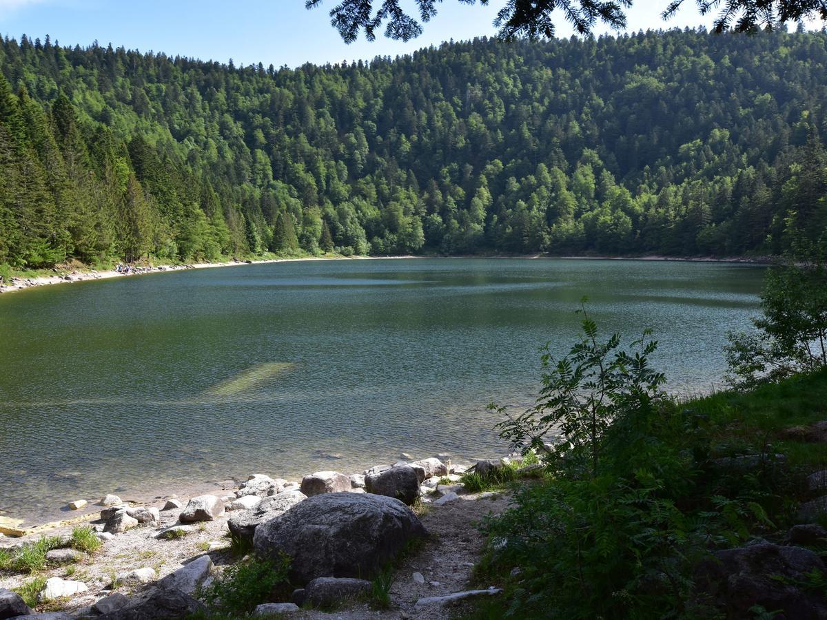 Quaint Chalet In La Bresse With Sauna Villa Екстериор снимка